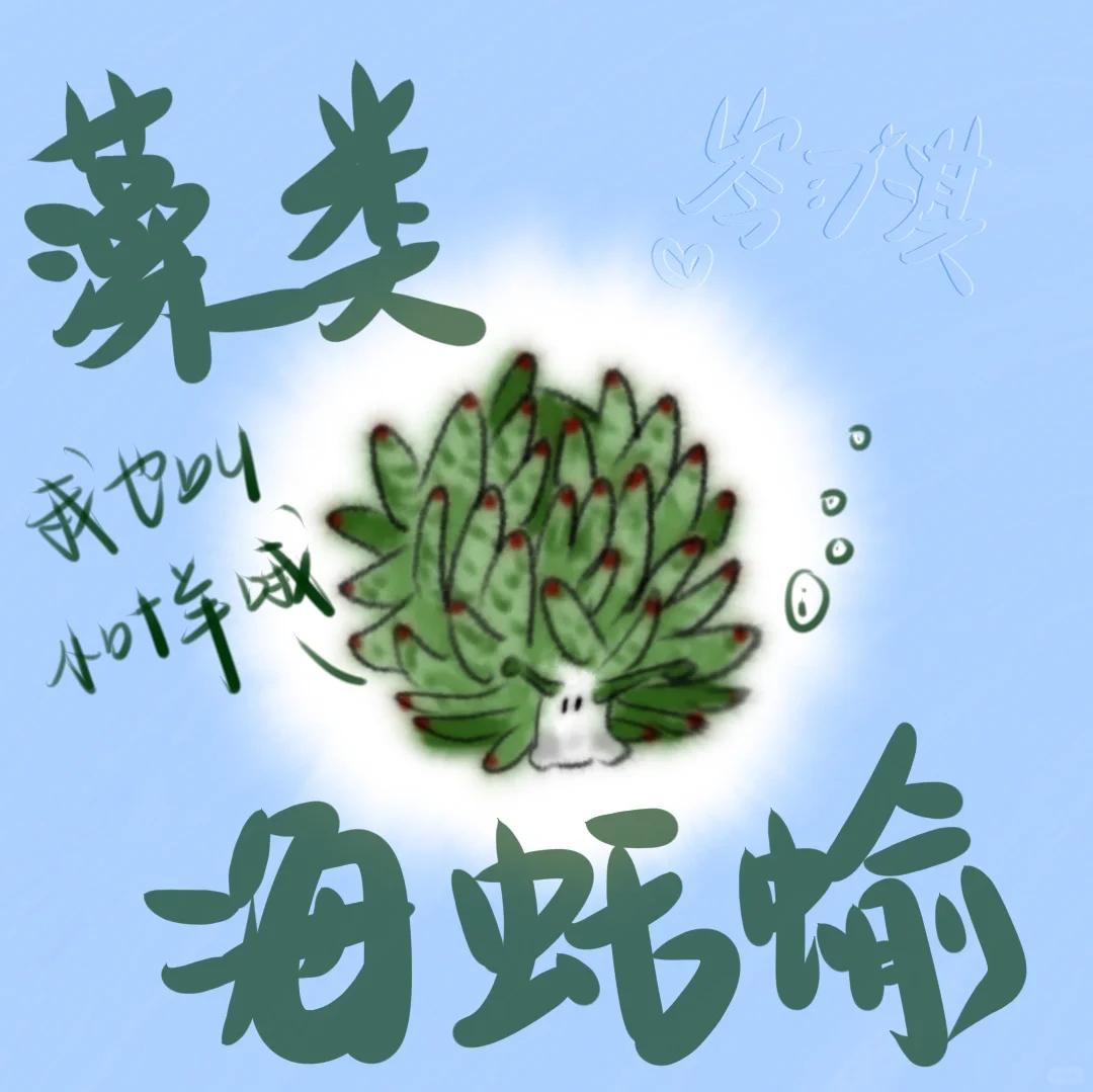 葉羊:微型光合作用的奇跡