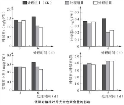 光合作用暗反應階段對光的間接依賴性探究