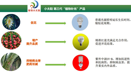 聚焦反季高效栽培，科技賦能海南火龍果產(chǎn)業(yè)——2020海南火龍果反季節(jié)種植管理研討會(huì)圓滿舉行